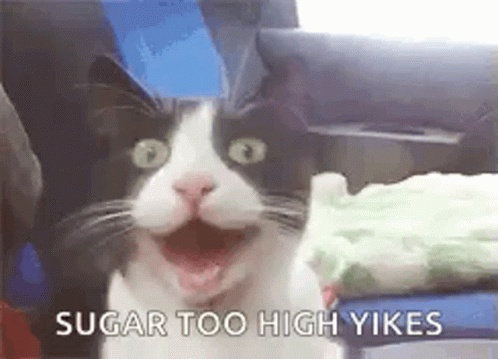 A Black And White Cat Is Sitting In A Chair With Its Mouth Open . GIF