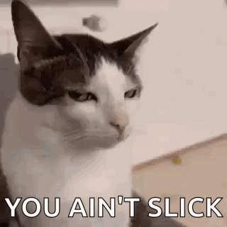 A Black And White Cat Is Sitting On A Couch With The Words `` You Ain 'T Slick '' . GIF