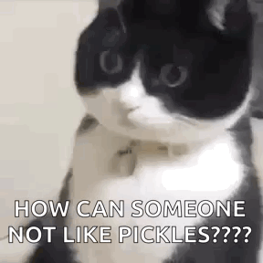 A Black And White Cat Is Sitting On A Table And Looking At The Camera . GIF