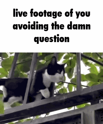 A Black And White Cat Is Sitting On Top Of A Fence . GIF
