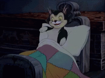 A Black And White Cat Is Sleeping In A Bed With A Colorful Blanket . GIF