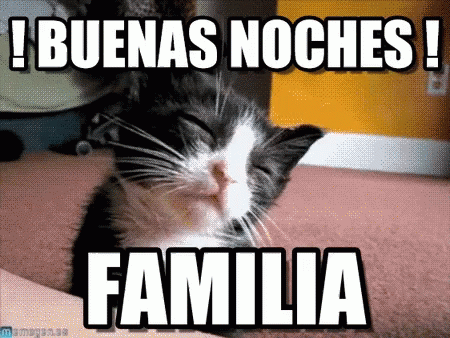 A Black And White Cat Is Sleeping With The Words Buenas Noches Familia Below It GIF