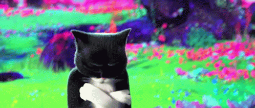 A Black And White Cat Is Standing In A Field Of Flowers With Its Arms Crossed . GIF