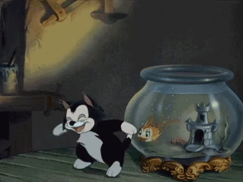 A Black And White Cat Is Standing Next To A Fish Bowl GIF