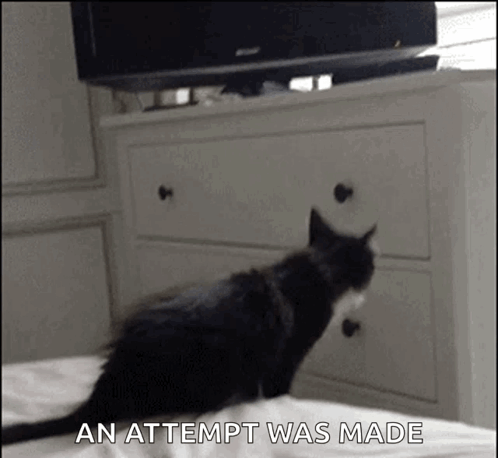 A Black And White Cat Is Standing On A Bed Next To A Dresser And A Tv . GIF