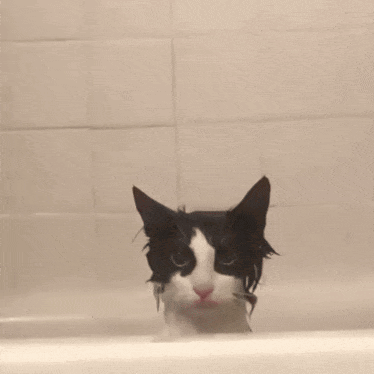 A Black And White Cat Is Taking A Bath In A Tub GIF
