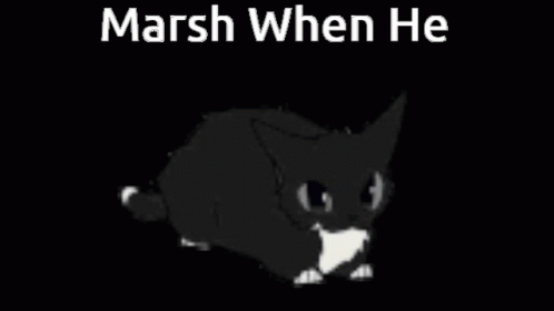 A Black And White Cat Is Walking In The Dark With The Words `` Marsh When He '' . GIF