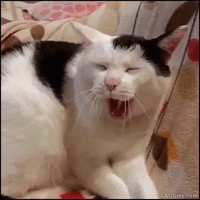 A Black And White Cat Is Yawning With Its Eyes Closed . GIF