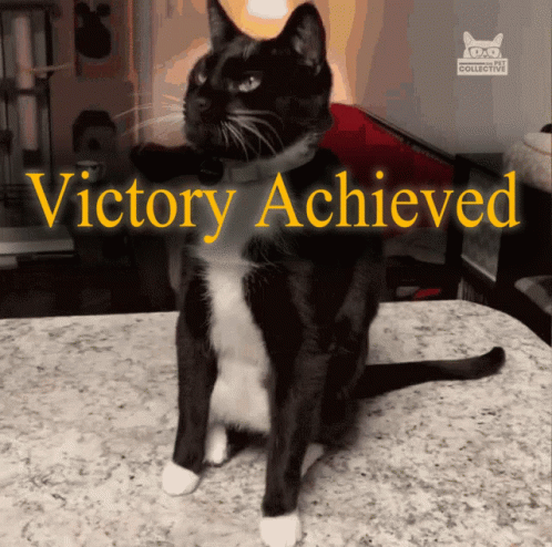 A Black And White Cat Sitting On A Counter With The Words Victory Achieved Written Above It GIF