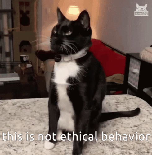 A Black And White Cat Sitting On A Table With The Words " This Is Not Ethical Behavior " Above It GIF