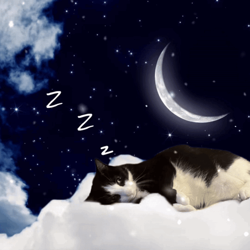 A Black And White Cat Sleeping On A Cloud With A Crescent Moon And Stars In The Background GIF