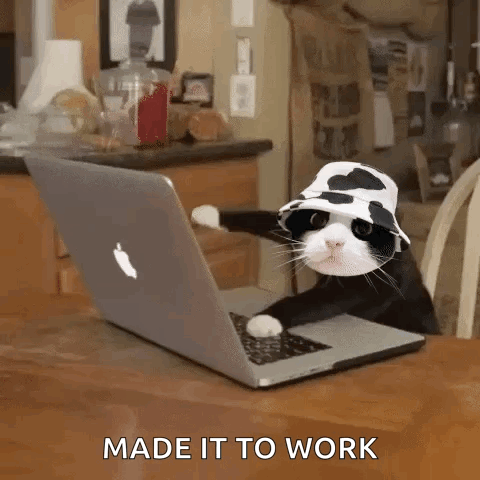 A Black And White Cat Wearing A Cow Hat Is Sitting In Front Of An Apple Laptop . GIF