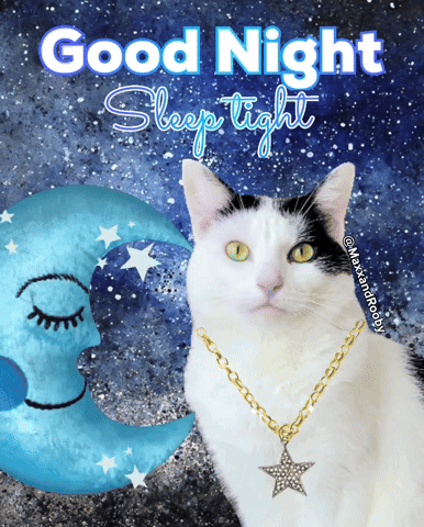 A Black And White Cat Wearing A Gold Chain And A Star Necklace Says " Good Night Sleep Tight " GIF