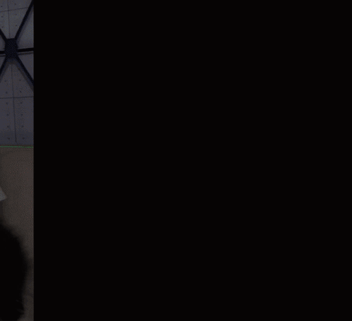 A Black And White Cat Wearing A White Shirt That Says I Heart Blue-Rock GIF
