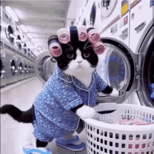 A Black And White Cat Wearing Curlers Is Putting Clothes In A Washing Machine GIF