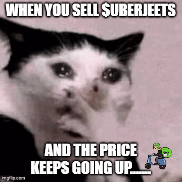 A Black And White Cat With A Caption That Says " When You Sell $ Suberjeets And The Price Keeps Going Up " GIF