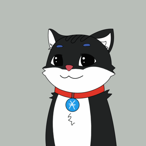 A Black And White Cat With A Red Collar And A Chinese Symbol On His Chest GIF