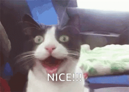 A Black And White Cat With A Surprised Look On Its Face And The Words Nice !!! Below It GIF