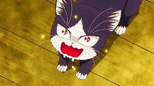 A Black And White Cat With Red Eyes Is Looking Up At Something GIF