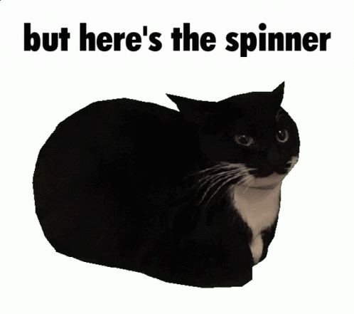 A Black And White Cat With The Words " But Here 'S The Spinner " Above It GIF