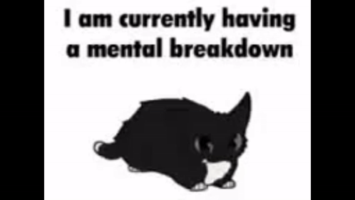 A Black And White Cat With The Words `` I Am Currently Having A Mental Breakdown '' Written Above It . GIF