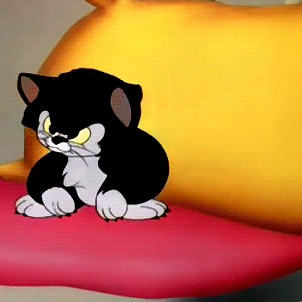 A Black And White Cat With Yellow Eyes Sits On A Pink Pillow GIF