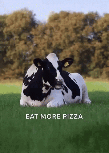 A Black And White Cow Is Laying In The Grass With The Words Eat More Pizza Below It GIF