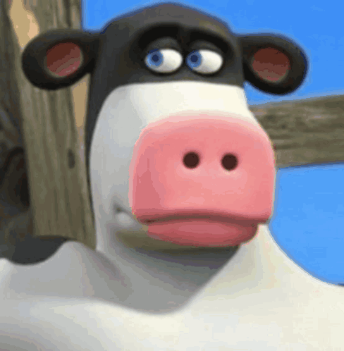 A Black And White Cow With A Pink Nose GIF