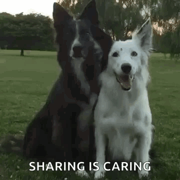 A Black And White Dog Are Sitting Next To Each Other In A Grassy Field . GIF