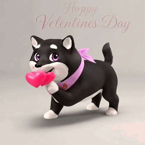 A Black And White Dog Holding A Pink Heart In Its Mouth GIF