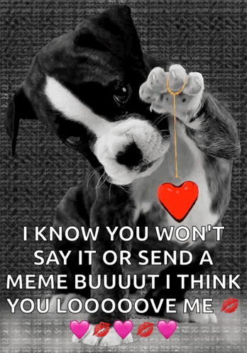 A Black And White Dog Holding A Red Heart In Its Paws GIF