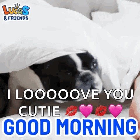 A Black And White Dog Is Laying Under A Blanket And Says Good Morning . GIF