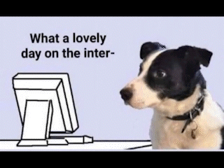 a black and white dog is sitting at a desk in front of a computer monitor .