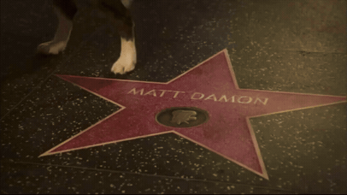A Black And White Dog Standing Next To A Red Star That Says Matt Damon GIF