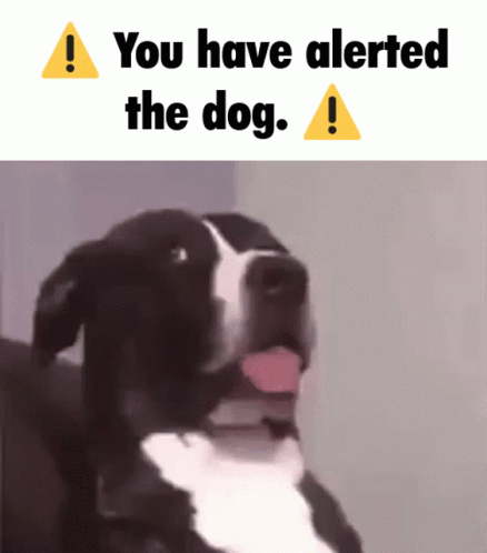 A Black And White Dog With Its Tongue Hanging Out And The Words You Have Alerted The Dog GIF