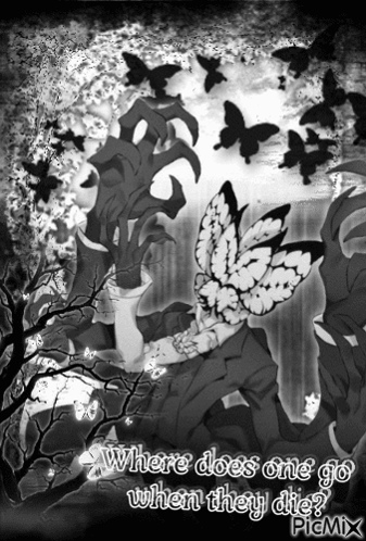 A Black And White Drawing Of A Butterfly With The Words " Where Does One Go When They Die " At The Bottom GIF