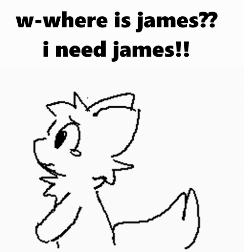 a black and white drawing of a cat asking where is james .