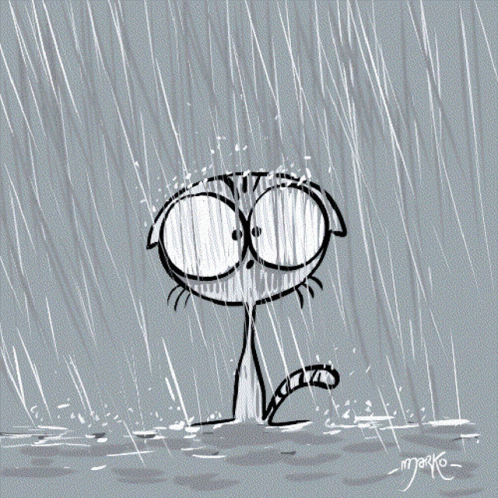 A Black And White Drawing Of A Cat In The Rain With The Name Marko On The Bottom GIF