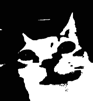 A Black And White Drawing Of A Cat 'S Head GIF