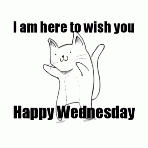 A Black And White Drawing Of A Cat With The Words " I Am Here To Wish You Happy Wednesday " GIF