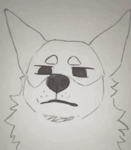 Black And White Dog Smirking GIF