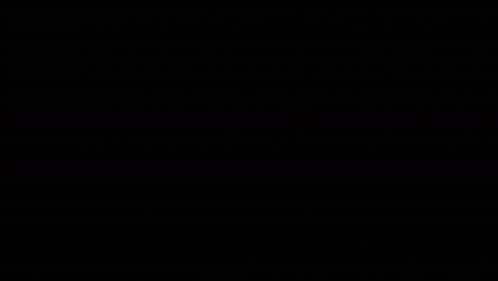 A Black And White Drawing Of A Fish With Chinese Writing GIF