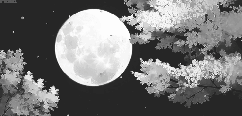 A Black And White Drawing Of A Full Moon And Trees GIF