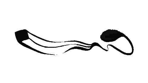 a black and white drawing of a kite flying in the air