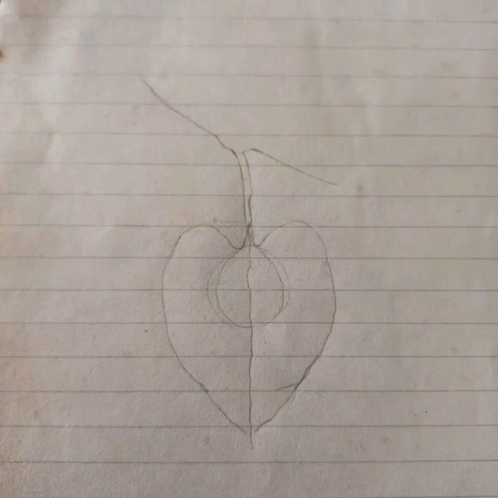 A Black And White Drawing Of A Leaf On A Piece Of Paper GIF