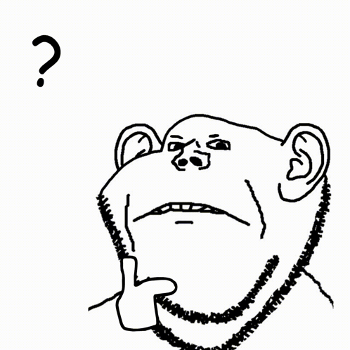 A Black And White Drawing Of A Monkey With A Question Mark On It GIF
