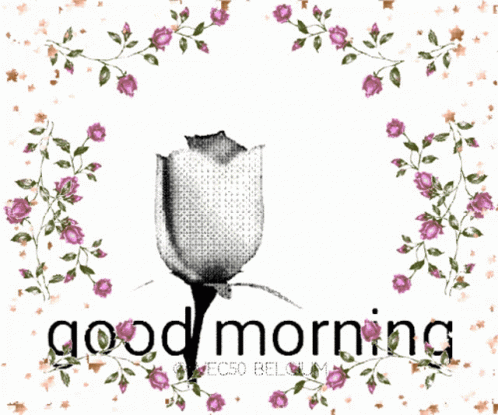 A Black And White Drawing Of A Rose With The Words Good Morning GIF