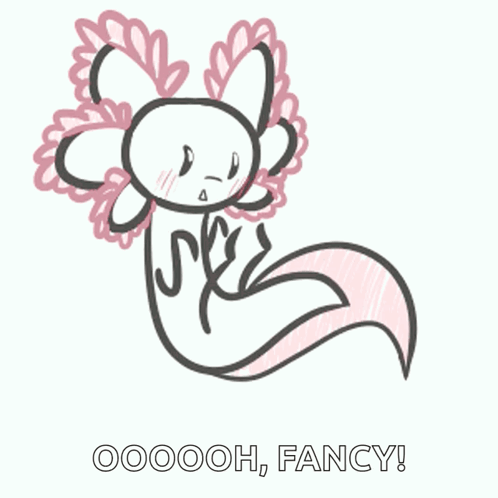 A Black And White Drawing Of An Axolotl With The Words Ooooh Fancy Below It GIF