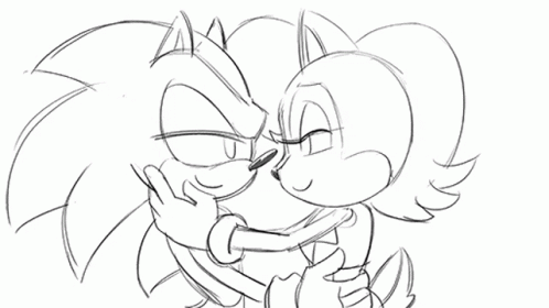 Black And White Sonic And Sally Hugging GIF