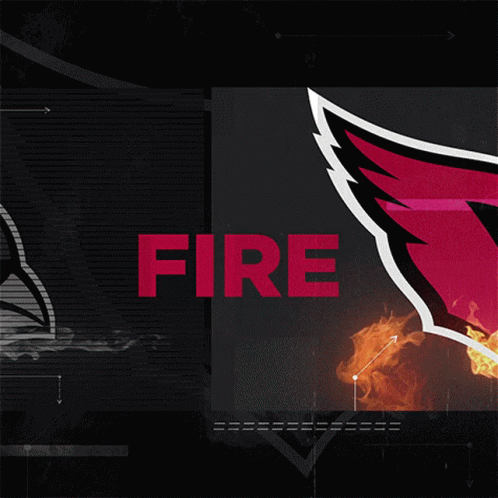 A Black And White Image Of A Bird With The Word Fire In Red GIF